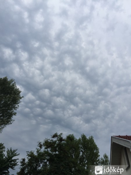 Észlelési fényképek